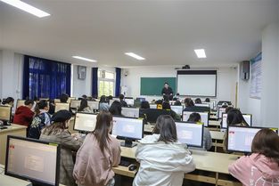 跨专业电子商务找工作