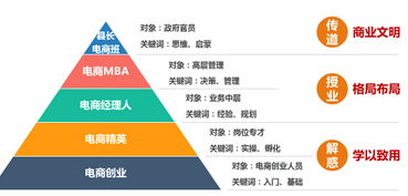 电子商务专业的知识结构