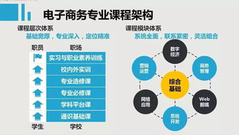 电子商务专业分什么系别