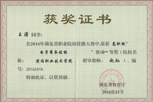 电子商务专业特点宣传画