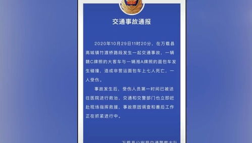 司法部门回应金毛疑因蹭空调被打死事件